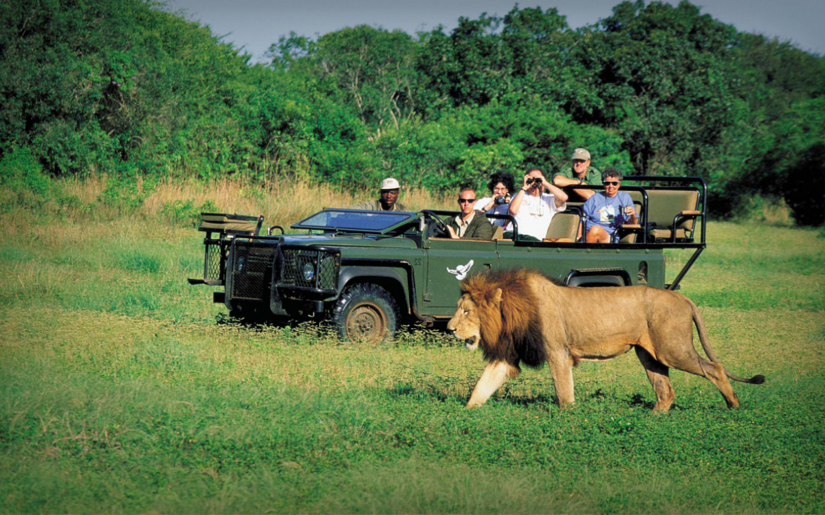 DU LỊCH NAM PHI MÙA THU – KHI VẺ ĐẸP HOANG DÃ HÓA THÀNH BẢN TÌNH CA CỦA THIÊN NHIÊN