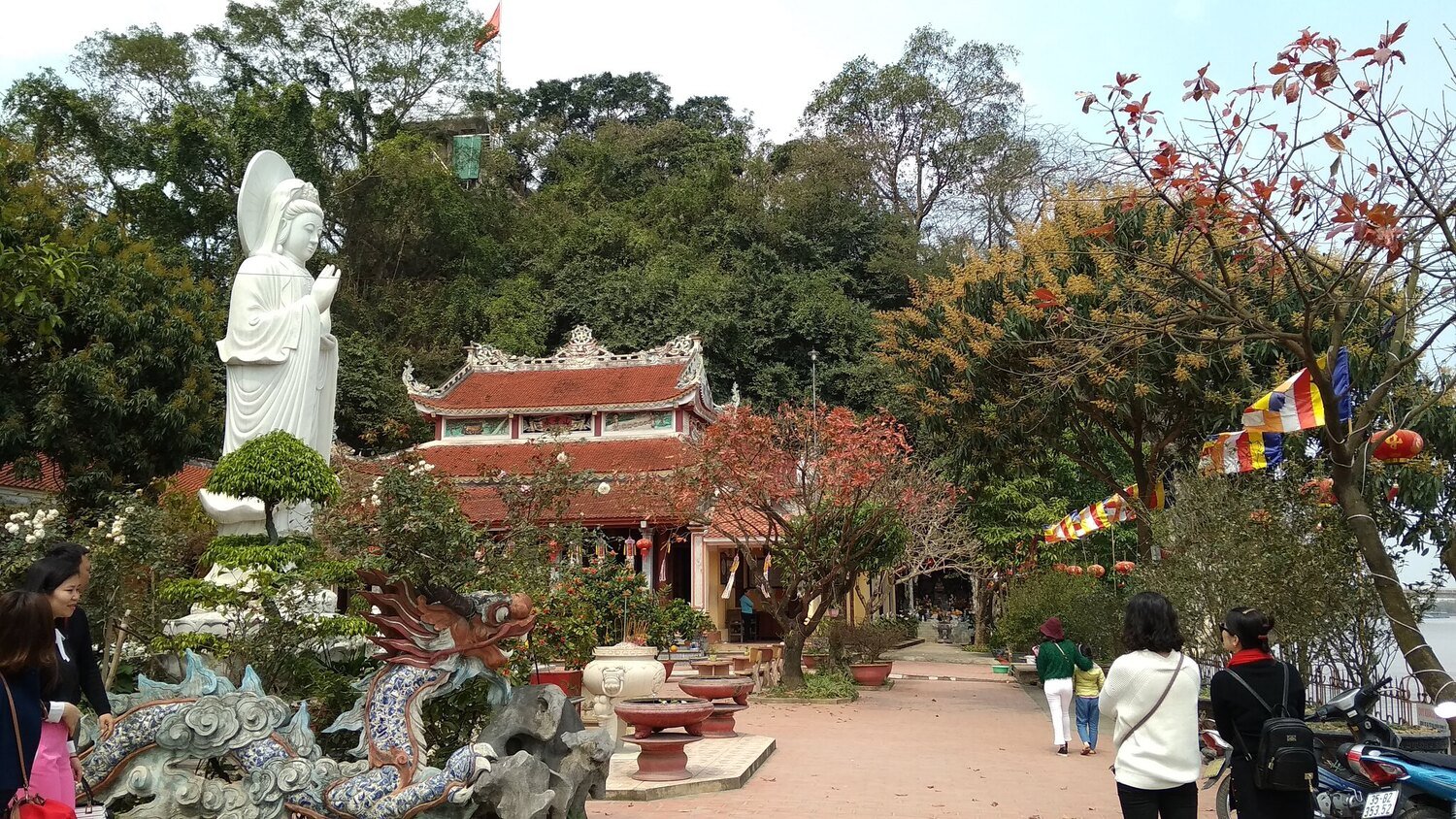 Tour Ghép Du lịch Chùa Non Nước - Phố cổ Hoa Lư - Thung Nham - Thung Chim 1 ngày