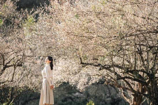 Tour Mộc Châu - Tà Xùa - VQG Xuân Sơn