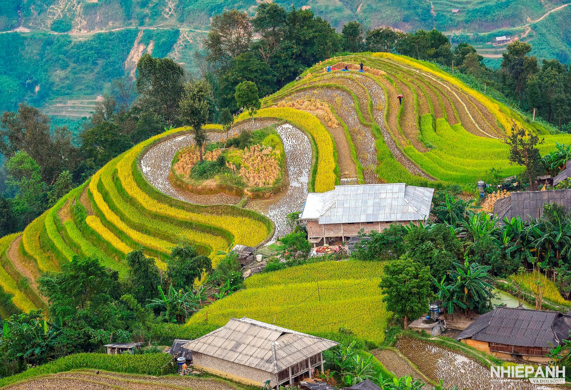TOUR DU LỊCH HÀ GIANG MÙA LÚA CHÍN – KHÁM PHÁ VẺ ĐẸP NGHẸN LÒNG