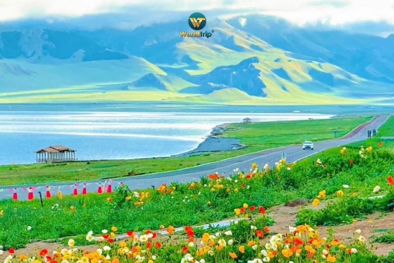 TOUR MÙA HÈ BẮC TÂN CƯƠNG 10 NGÀY 9 ĐÊM