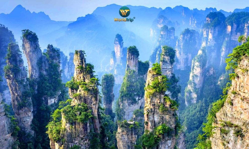 TOUR TRƯƠNG GIA GIỚI-PHƯỢNG HOÀNG CỔ TRẤN THẤT TINH SƠN-HỒ BẢO PHONG