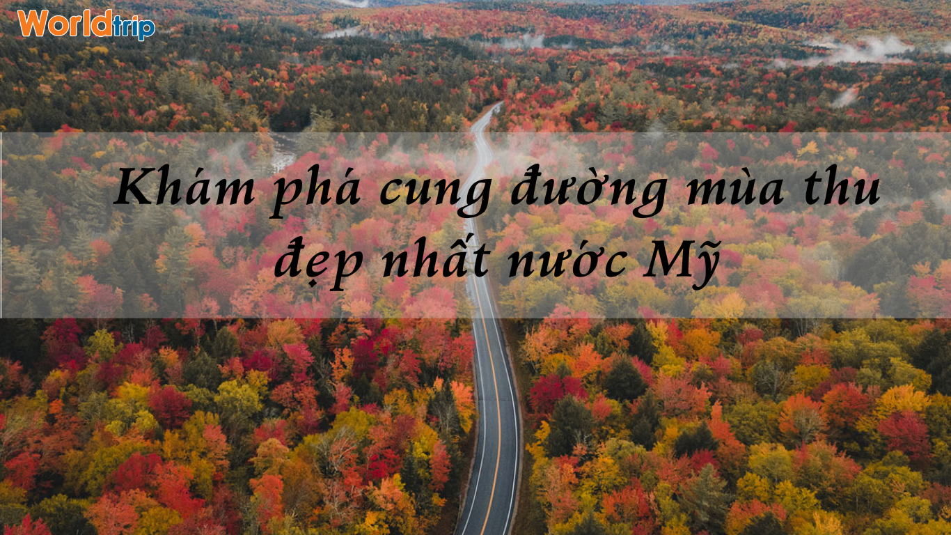 KHÁM PHÁ CUNG ĐƯỜNG MÙA THU ĐẸP NHẤT NƯỚC MỸ