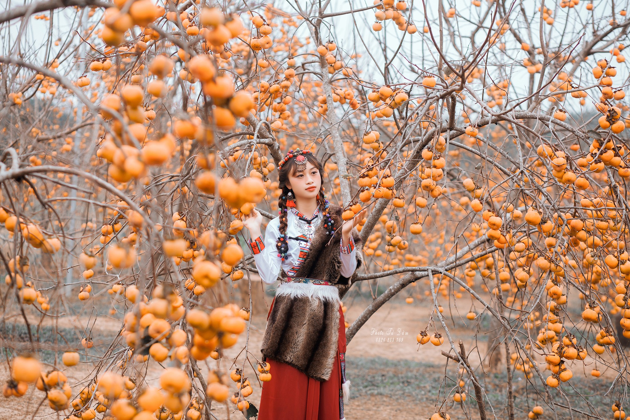 Tour Du lịch Mộc Châu 1 ngày