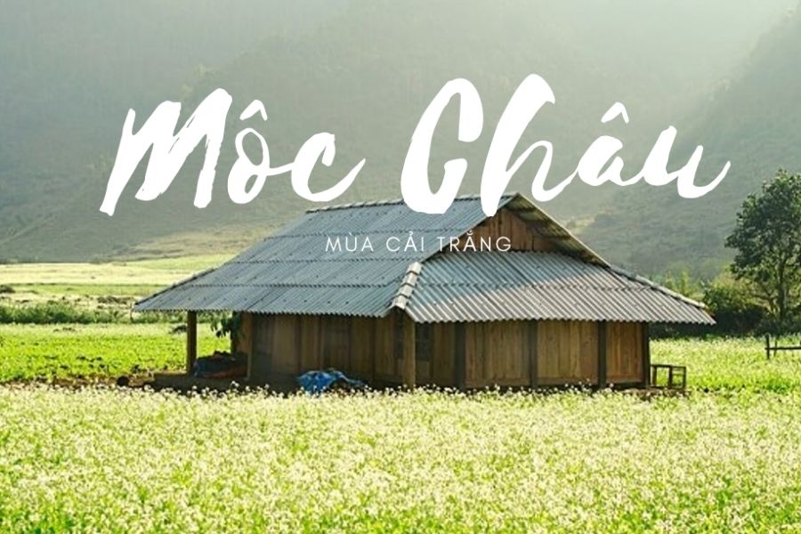 TOUR DU LỊCH MỘC CHÂU – MAI CHÂU 2N1Đ 