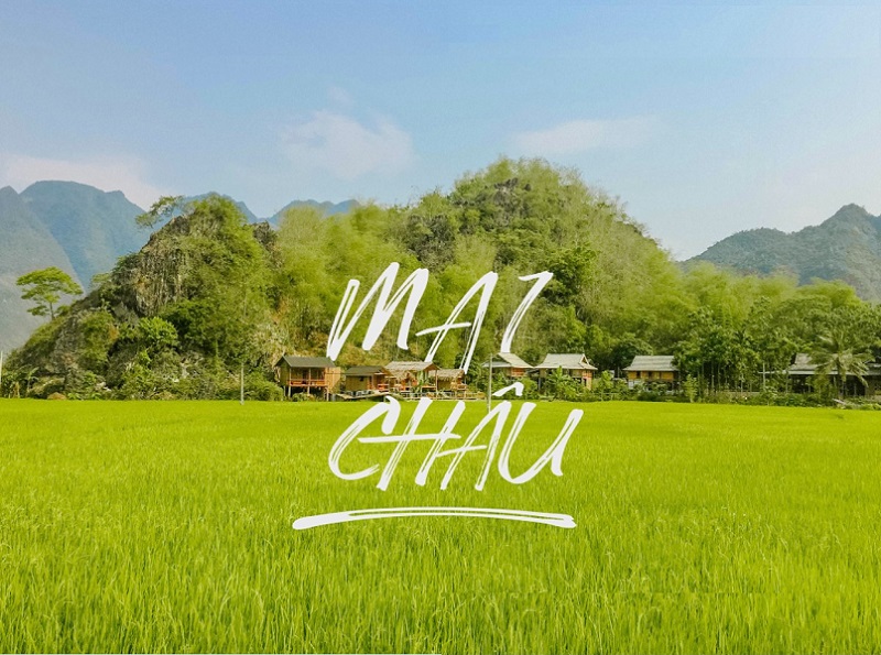 TOUR DU LỊCH MAI CHÂU - MỘC CHÂU 2N1Đ