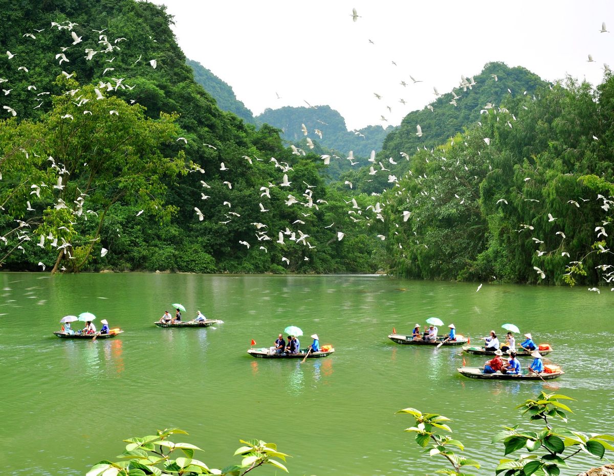 TOUR THUNG NHAM NINH BÌNH 1 NGÀY