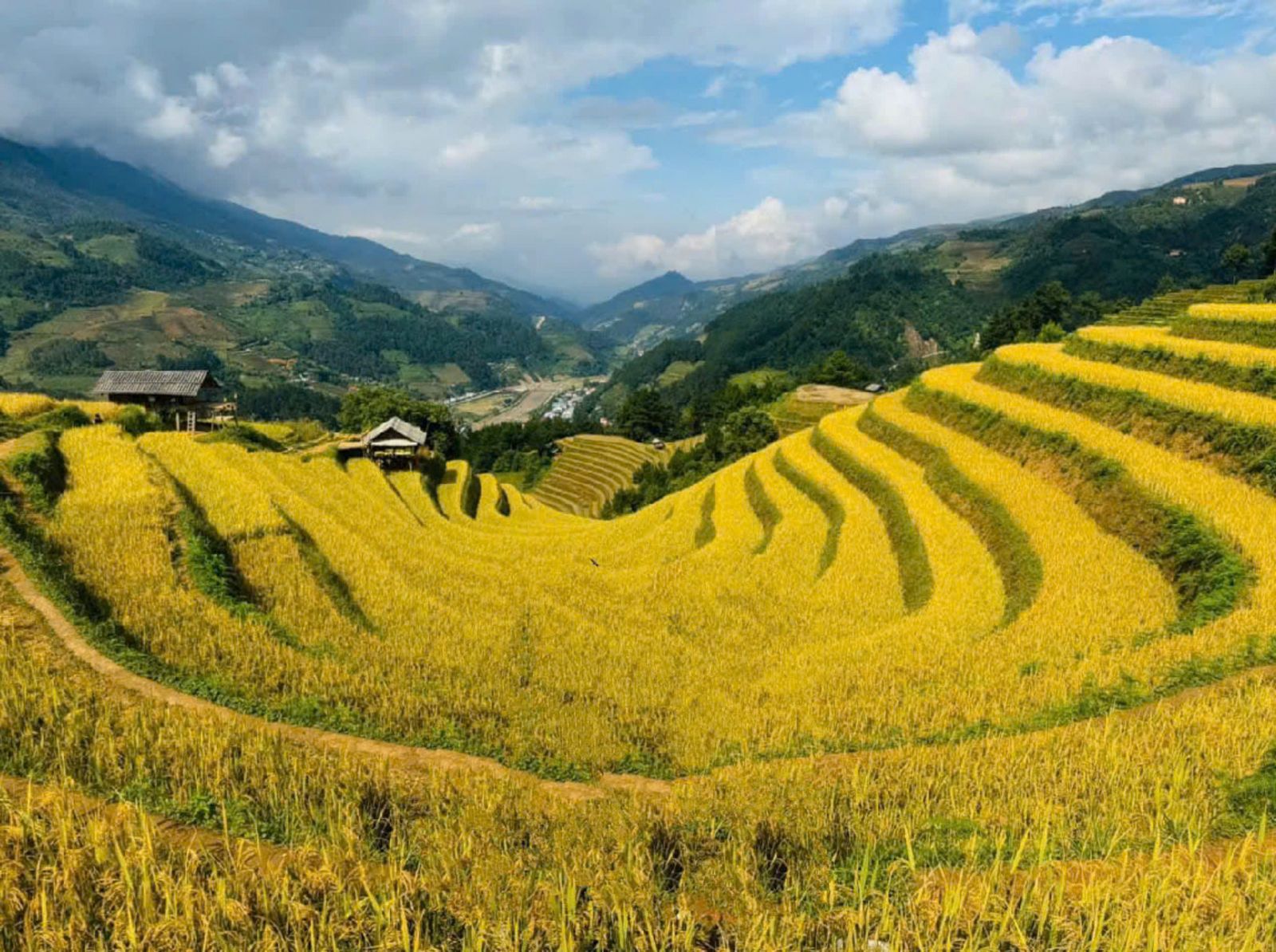 Lên Đồ Chuẩn – Săn Mùa Lúa Chín: 6 Địa Điểm Ngắm Ruộng Bậc Thang Đẹp Như Tranh Ở Việt Nam!