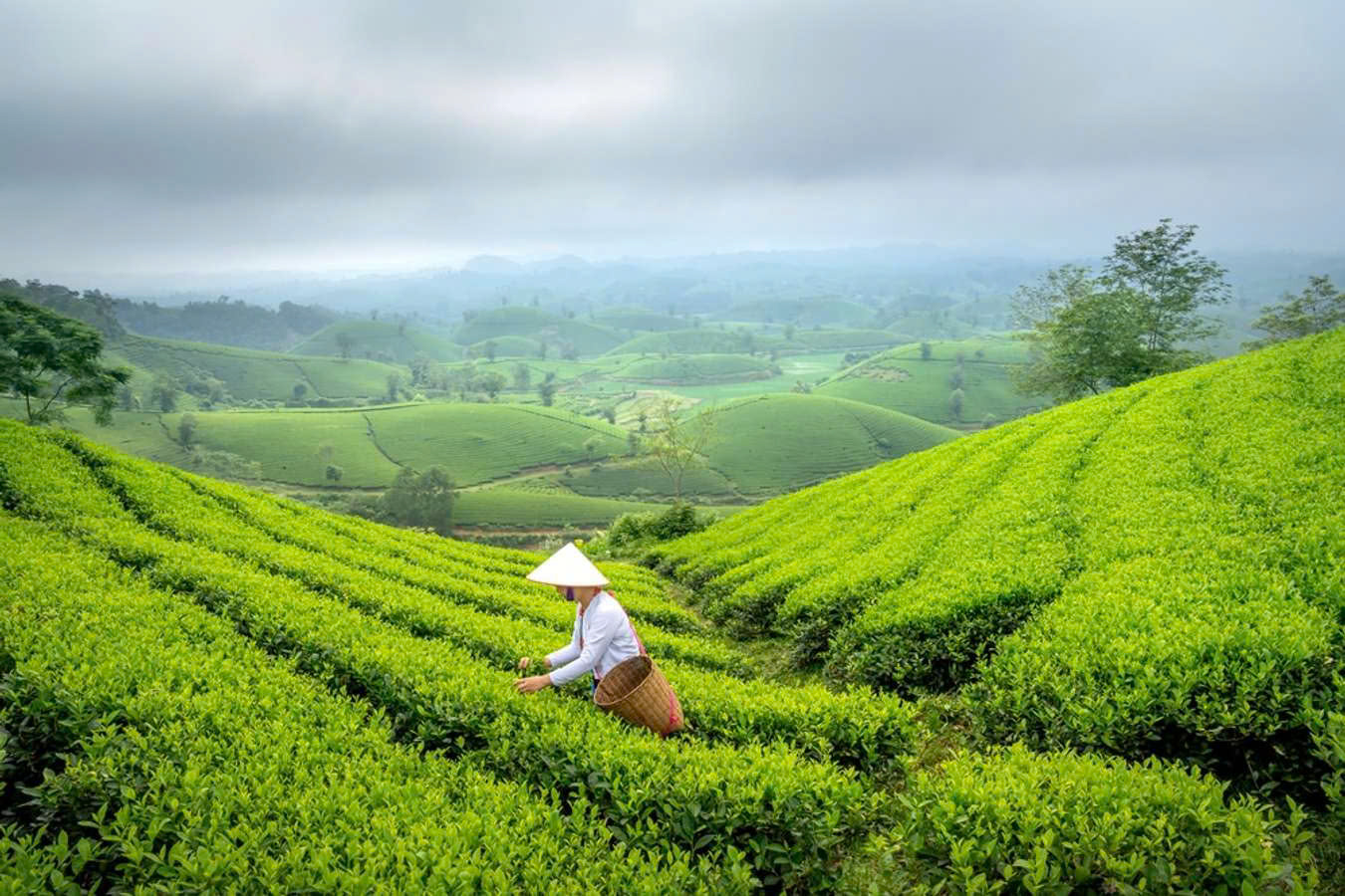 Tour Du Lịch Tà Xùa - Long Cốc - Thanh Thuỷ 3 ngày 2 đêm